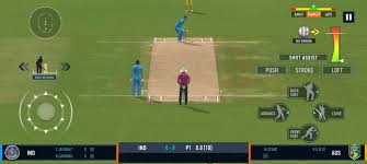 Real Cricket 24 APK Download for Android Free