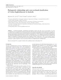 Image result for Croton longipedicellatus