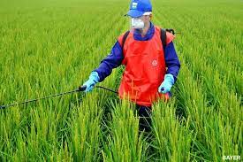 It also provides a premier interdisciplinary platform for researchers, practitioners, and educators to present and discuss the most recent innovations, trends, and concerns as well as practical challenges encountered and solutions adopted in the fields of agricultural pest control and management. Crop Protection Safety Standards Bayer