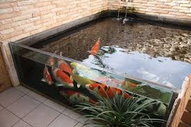 Kolam ikan koi bergaya outdoor bergaya akuarium rendah. Simak 10 Desain Kolam Ikan Yang Bikin Rumah Kamu Keren