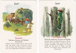 Quartett Natur In 12 Monaten Ddr Spielzeug Ddr Kindheitserinnerungen