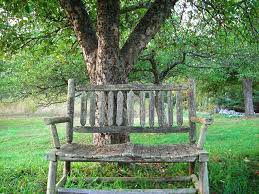 We would like to show you a description here but the site won't allow us. Rustic Bench Under Apple Tree Bench Under Tree Rustic Bench Bench