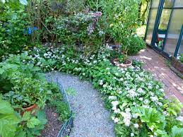 Am idealen standort gedeiht das wildgemüse nicht nur im wald, sondern auch im garten. Barlauch Pesto Meiendorfer Garten Ein Blick