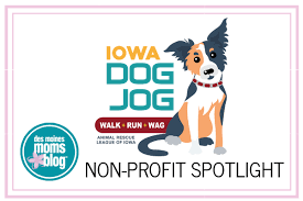 Maybe you would like to learn more about one of these? Animal Rescue League Of Iowa Dog Jog Benefiting Homeless Pets