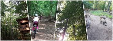Fahrradtour Mit Kindern In Den Tegeler Forst In Berlin Reinickendorf