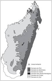 Carte madagascar, carte du monde. Uvaria Lombardii L Gaut Deroin Annonaceae Une Nouvelle Espece Endemique De Madagascar Aux Inflorescences Spectaculaires