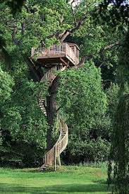 Tree House Anyone View Tree Houses Of Different Shapes And Sizes In This Album Here Http Theownerbuilderne Cool Tree Houses Tree House Tree House Designs