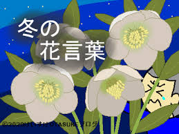 ／ #チェリまほ 第８話は今日深夜１時 あと５時間 ＼ 木曜は夜ふかし 赤楚さんと町田さんの インスタライブいかがでしたか？ ／ #チェリまほ 第８話は今日深夜１時 木曜は夜ふかし ＼ 今夜7時〜の #赤楚衛二 さん＆#町田啓太 さん のインスタライブまで あと30分となりました みなさん. å†¬ã«å'²ãèŠ±ã®èŠ±è¨€è'‰ 44ç¨®é¡žã®èŠ±ã‚'ç´¹ä»‹ã™ã‚‹ã‚ˆ
