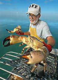 Florida Fishing Florida Stone Crab Season Opens