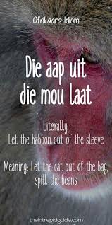 Pin On Education Afrikaans