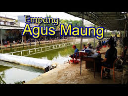 Lomba Mancing Milad Master Agus Maung Youtube