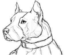 Pitbull coloring page coloring page by brittanyfarinaart on etsy. 7 Pics Of Pitbull Coloring Pages Printable Pit Bull Puppy Coloring Home