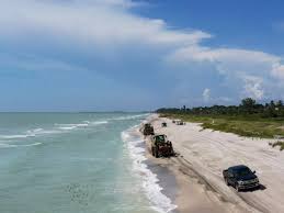 Image result for Sandy Beach Brown 2011 Captiva