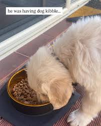 met with my younger self 💌