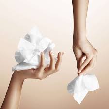 Flushing Wipes Will Clog Your Drains