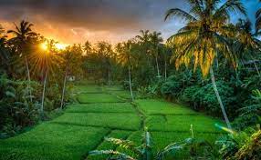 Wallpaper pemandangan alam indah gambar foto wallpaper background keren mengedit foto mengganti background foto dan memanipulasi foto. Gambar Wallpaper Pemandangan Indah Gambar Wallpaper Pemandangan Indah Wallpaperhttp Pemandanganoce Blog Pemandangan Wallpaper Alam Yang Indah Alam Yang Indah