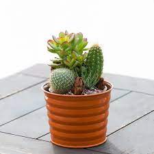 What do favorable conditions entail? Pin On Office Decorations