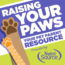 Creating a stimulating environment or providing interactive toys can give a cat plenty to keep it entertained while you're away. Raising Your Paws Your Resource For Dog Cat Pet Parents Podcast Podtail