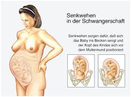 Bei den vorwehen handelt es sich, ähnlich wie bei den übungswehen, mit denen ich mich in meinem letzten artikel beschäftigt habe, um. Senkwehen Geht Jetzt Die Geburt Los Babyartikel De Magazin