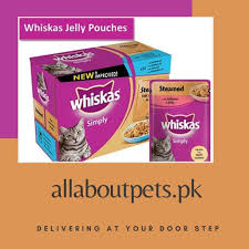 Whiskas Cat Jelly Allaboutpetspk Whiskas Pakistan Homedelivery In 2020 Jelly Toothpaste Tasty