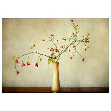 Ikea Pjatteryd Picture Rose Hip Floral Art Flower Art Fall Flower Arrangements