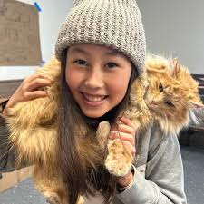 🚀✨ This week in Rooted Academy we kicked off our solar system model  projects, got creative making moon models with our own puff paint  creations, and explored the mysteries of the outer