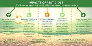 Key Issues Pesticide Action Network Uk