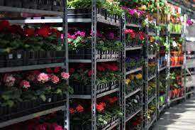 Vacant Space Turned Into Pop Up Garden Shops Western Investor