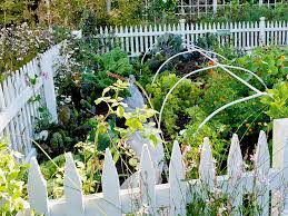 However, it also looks to be very sturdy as well. 10 Fence Ideas For A Vegetable Garden Fence Guides