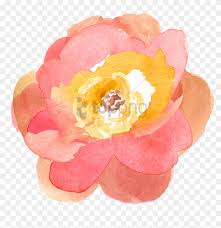 5 out of 5 stars. Free Png Transparent Watercolor Flowers Png Image With Pink And Yellow Watercolor Flower Clipart 3468942 Pikpng