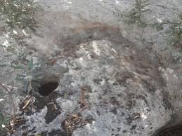 سلام عليكم منقول لن تسأل عن طين الحكمة كنوز و دفائن وتحليل إشارات في الأردن Facebook