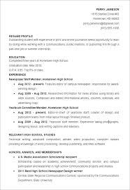 Resume Objective Examples Finance Internship For Basic Career Goals ...