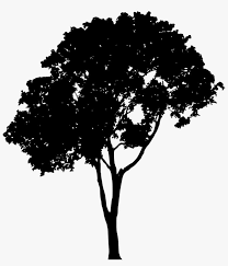 Vector snowman with christmas tree and gifts. Free Png Tree Silhouette Png Images Transparent Tree Silhouette Vector Png Png Image Transparent Png Free Download On Seekpng
