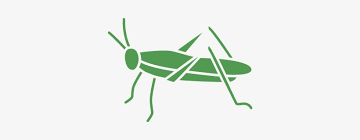 Pest control lincoln, united states, pest removal services, critters, extermination, vermin control, rat catcher. Pest Control Service For Crickets Pest Png Image Transparent Png Free Download On Seekpng