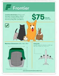 American airlines baggage receipt, fees for your international flights including lost & carry on baggage restrictions with guidelines information. American Airlines Carry On Pet Charge 59 Off Naonsite Com