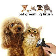 Pet Grooming Comb Dog Cat Shedding Brush Self Cleaning Slicker Brush Deshedding Tool For Dogs And Cats Medium Find Out Mor Pet Grooming Cat Shedding Dog Cat