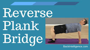 Now i exercise every morning for 10 minutes the reverse elbow plank = kona purvottanasana. Reverse Plank Bridge One Of The Best Overall Posture Exercises Back Intelligence