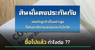 Rabbit finance โบรกเกอร์ออนไลน์ในเครือ bts group ที่รวบรวมผลิตภัณฑ์ประกันภัยเอาไว้หลากหลาย. P3y1aytp67xkim