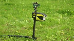 Check spelling or type a new query. New Scarecrow Motion Activated Sprinkler Test Review Best Animal Deterrent Youtube