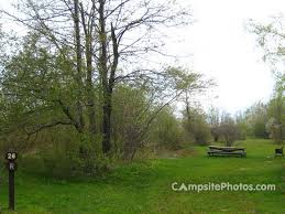 Check spelling or type a new query. Savoy Mountain State Forest Campsite Photos Reservations Info