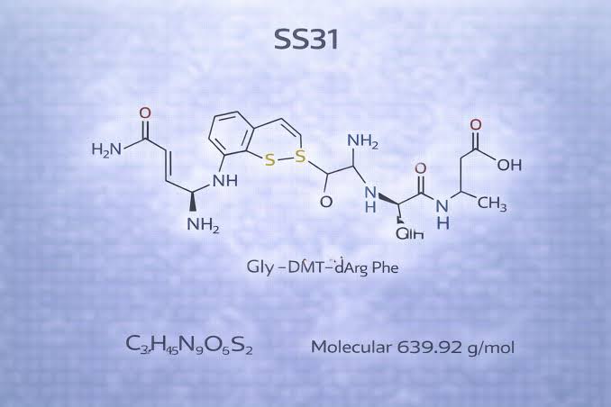 SS-31 (Elamipretide): Mitochondrial Function & Cellular Energy Support