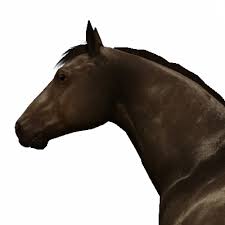 I already know that i crashes when you have the mccc mod installed. Hd Horse Coat Lakeside Saddlery