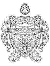 Top 33 terrific hard coloring pages cute but mosm adorable. Cute Hard Coloring Pages Copy Owl For Adults Printable Kids Best Pictures Of Animals Turtle Coloring Pages Animal Coloring Books Mandala Coloring Pages