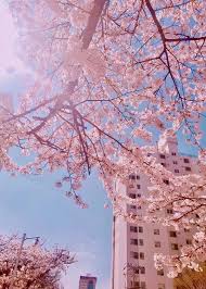 Soft lavender and pastel pink aesthetics | aesthetic world. Soft Pastel Pink Aesthetic Backgrounds Novocom Top