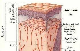 طريقة ازالة اثار الحروق من الجسم