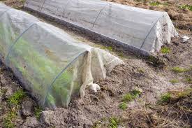 Thus they can be arranged into rings or lines to support every kind of plant in groupings large or small. Plastic Tunnels To Grow Vegetables