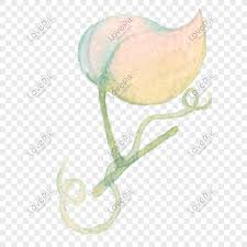 Hand Painted Watercolor Morning Glory Vine Leaves Illustration Png Image Picture Free Download 610857924 Lovepik Com They flower early in the morning. lovepik