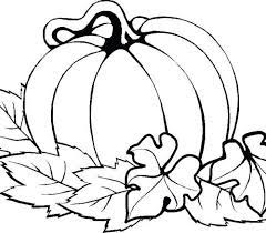 Pumpkin Coloring Pages For Adults Pumpkin Coloring Pages Thanksgiving Coloring Pages Fall Coloring Pages