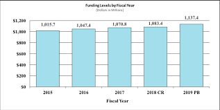 fiscal year 2019 budget information congressional