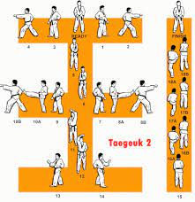 Nanti sore, aku disuruh guru taekwondo lari bersama, tapi jam 10 pagi nanti aku ingin bermain bersama temanku. Cara Latihan Taekwondo Sendiri Di Rumah Sekitar Rumah